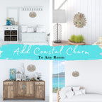 Handmade Driftwood Shell - SHELLY