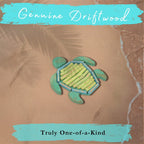 Handmade Driftwood Turtle - TURTELLA