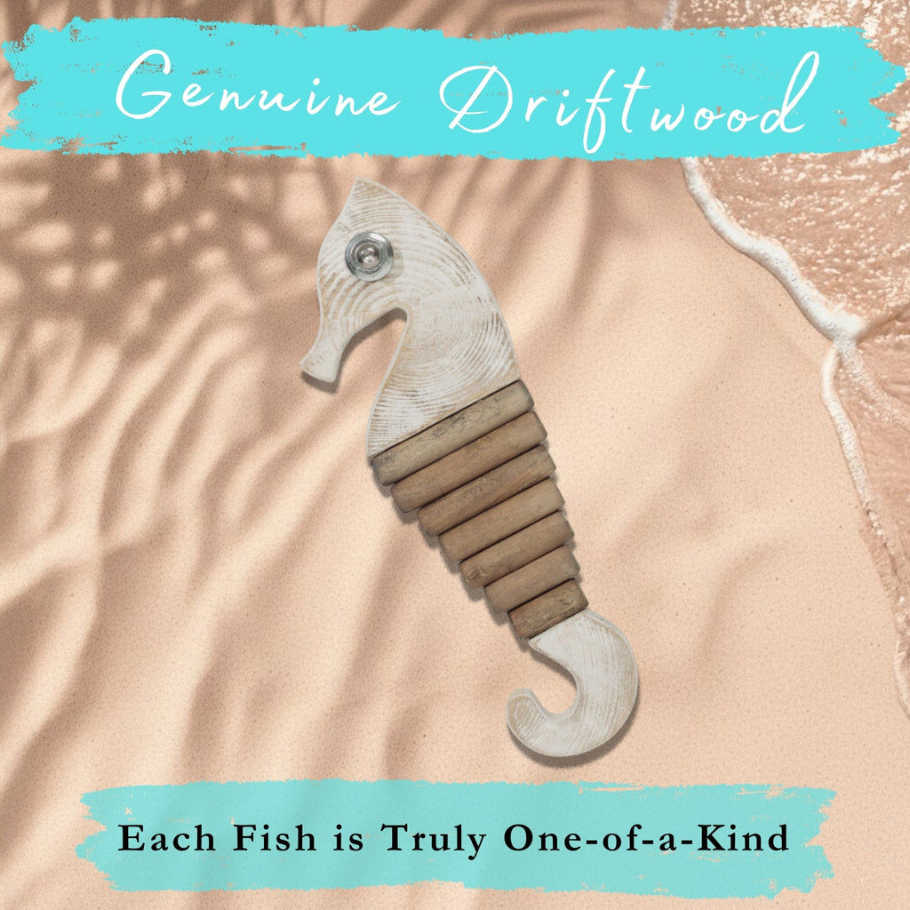Handmade Driftwood Seahorse - SQUIGGLE