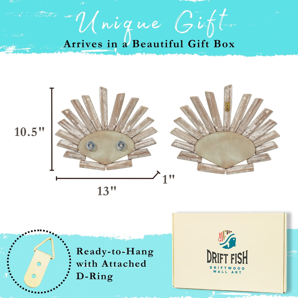 Handmade Driftwood Shell - SHELLY