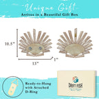 Handmade Driftwood Shell - SHELLY