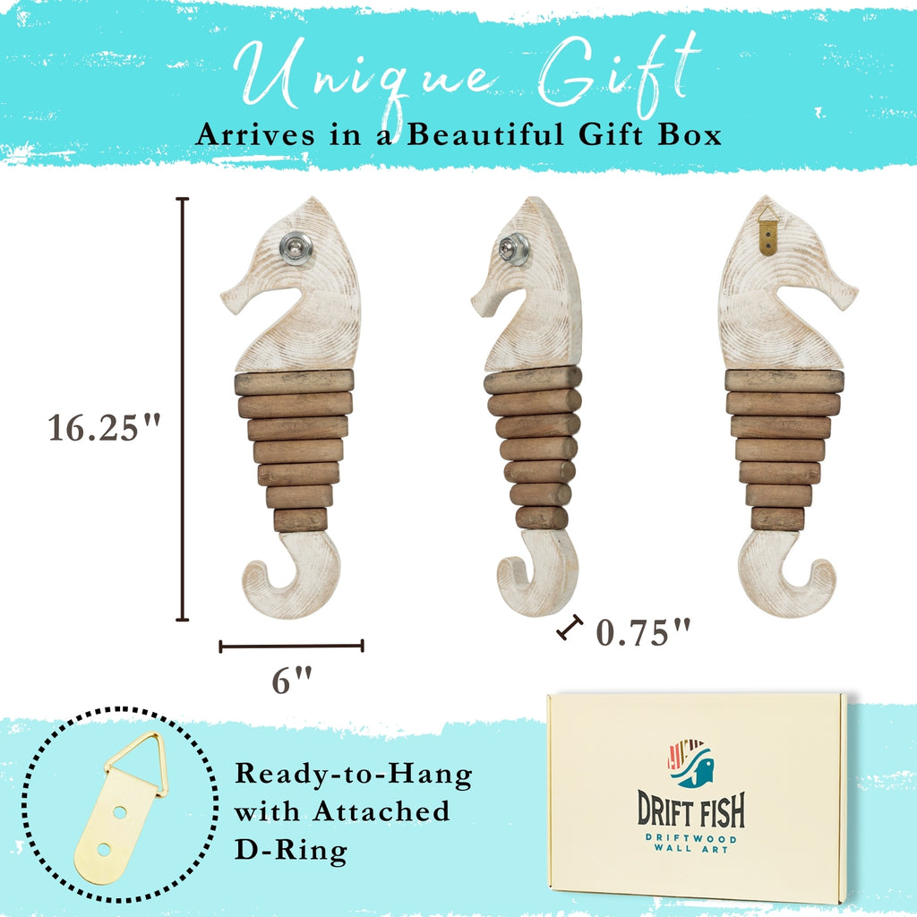 Handmade Driftwood Seahorse - SQUIGGLE