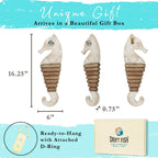 Handmade Driftwood Seahorse - SQUIGGLE